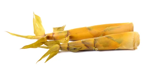 Brote de bambú aislado sobre un fondo blanco — Foto de Stock