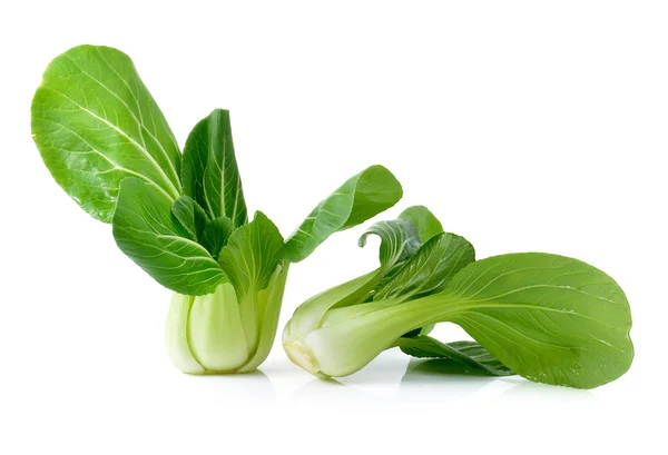 Bok Choy isolado em um fundo branco — Fotografia de Stock