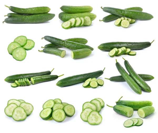 Fresh cucumber  isolated on white background — Stock Photo, Image