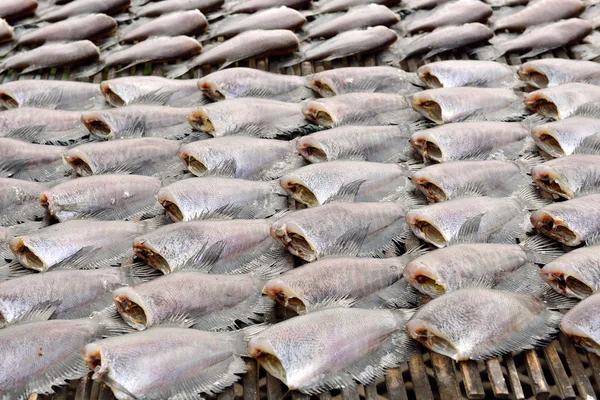 Sušená ryba salid před vařením prodat na trhu v thaila — Stock fotografie