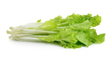 Beyaz arkaplanda marul izole