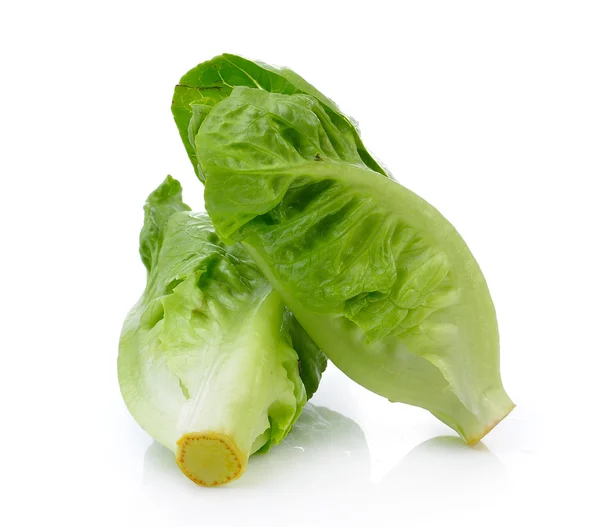 Cos Salat auf weißem Hintergrund — Stockfoto