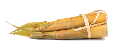 Bambu filizleri beyaz arka planda izole edilmiş.