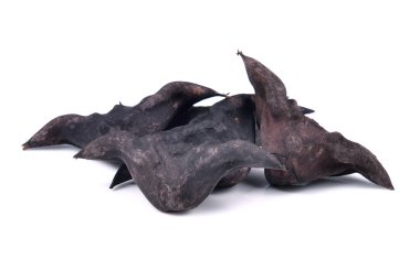 Su Caltrops, beyaz arka plan üzerinde izole Trapa natans