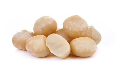 Macadamia fındığı beyaz arka planda izole edilmiş.