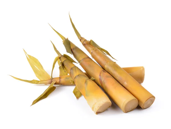 Brote de bambú sobre fondo blanco — Foto de Stock