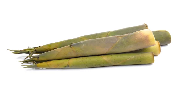 白地に隔離された竹の子 — ストック写真