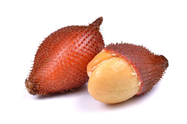 Ayırıcı beyaz arkaplanda izole edildi