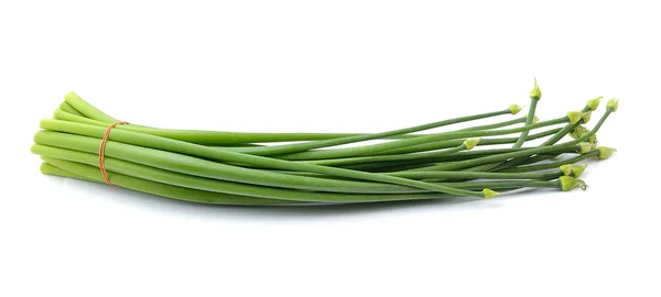 Onion flower isolated on white background — Stock Photo, Image