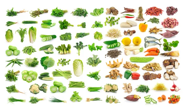 Set of vegetablr on white background — Stock Photo, Image