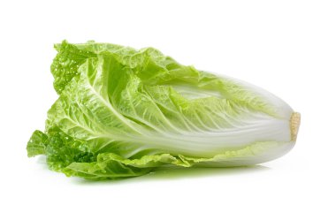 Beyaz arka planda taze Çin lahanası