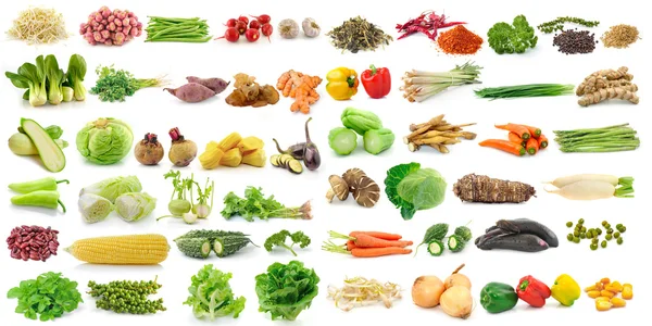 Conjunto de verduras sobre fondo blanco — Foto de Stock