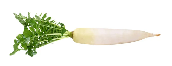 Fresh white radish on a  white background — Stock Photo, Image