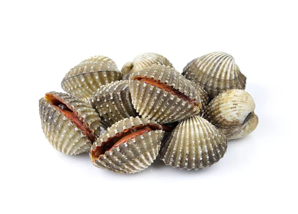 Vongole fresche cibo molluschi su sfondo bianco — Foto Stock