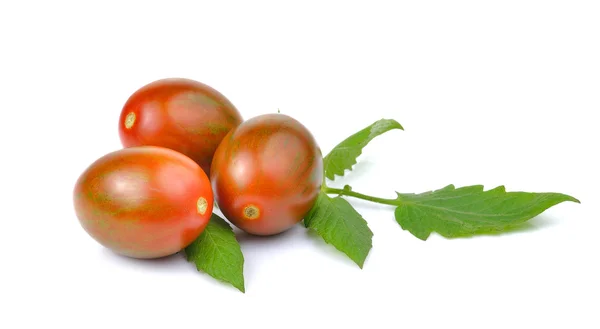 Chocolate Tomato or Brown color tomato on white background — Stock Photo, Image