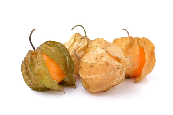 Physalis fruit on a white background — Stock Photo, Image