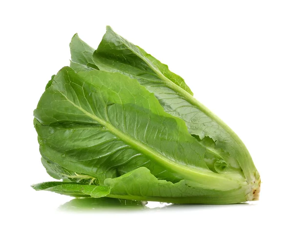 Cos Salat auf weißem Hintergrund — Stockfoto