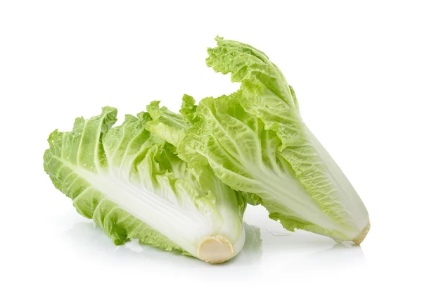 Fresh chinese cabbage on a white background — Stock Photo, Image