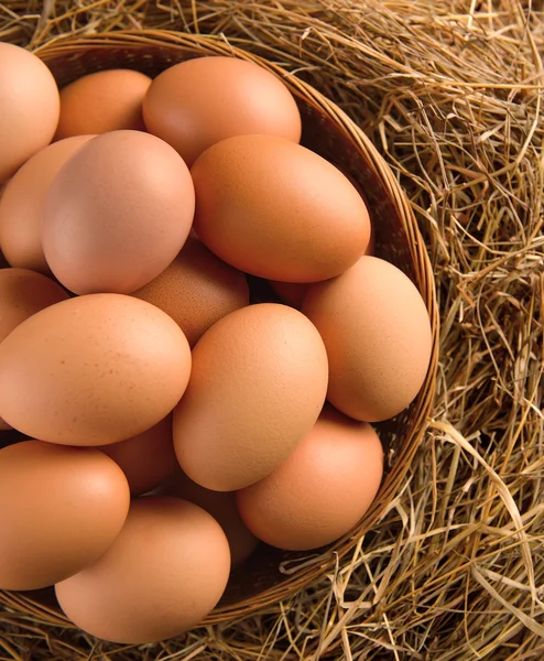 Oeuf dans un panier sur l'herbe séchée — Photo