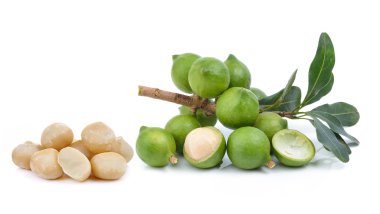taze macadamia fındık beyaz bir arka plan üzerinde