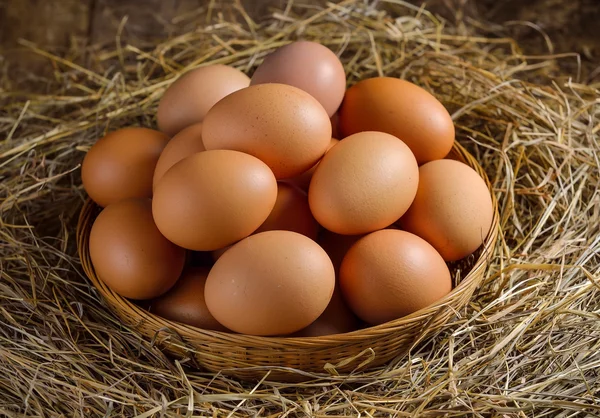 Oeuf dans un panier sur l'herbe séchée — Photo