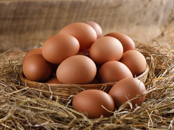 Oeuf dans un panier sur l'herbe séchée — Photo