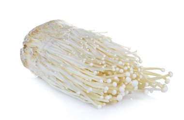 enoki mantar, altın iğne mantar izole beyaz backgro