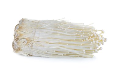 enoki mantar, altın iğne mantar izole beyaz backgro