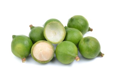 taze macadamia fındık beyaz bir arka plan üzerinde