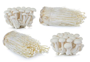 White beech mushrooms, Enoki mushroom on white background