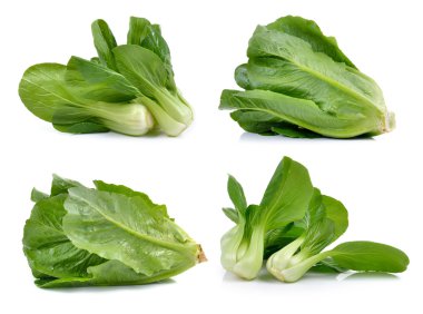 Bok choy sebze ve beyaz arka plan üzerinde çünkü marul