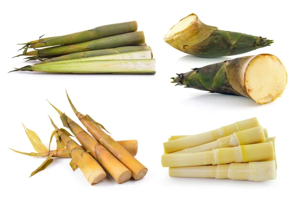 Brote de bambú sobre fondo blanco —  Fotos de Stock