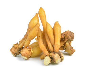 Parmak kökü, Kaempfer, Boesenbergia beyaz arkaplanda