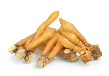 Parmak kökü, Kaempfer, Boesenbergia beyaz arkaplanda