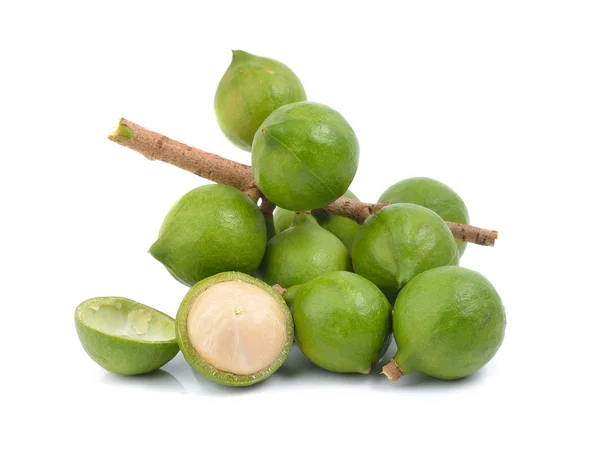 Fresh macadamia nut on white background — Stock Photo, Image