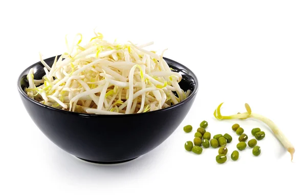 Bean Sprouts in the black  bowl — Stock Photo, Image
