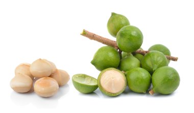 Beyaz arka planda taze Macadamia fındığı