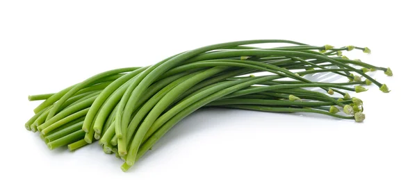 Onion flowers isolated on white background — Stock Photo, Image