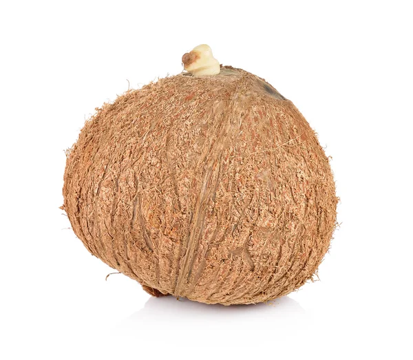 Kokosowe zbliżenie na białym tle — Zdjęcie stockowe