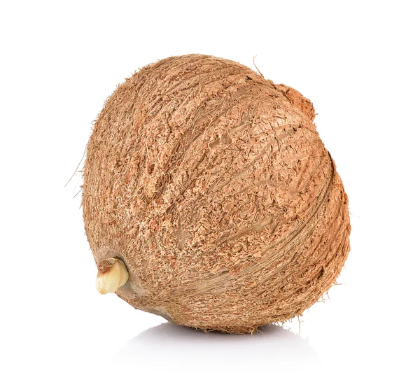 Kokosowe zbliżenie na białym tle — Zdjęcie stockowe