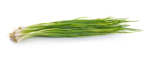 Зеленый лук изолирован на белом фоне — стоковое фото