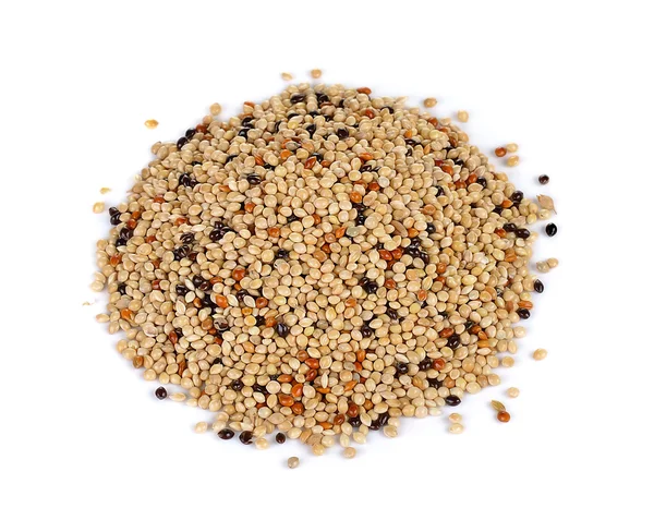 Mistura de sementes isolada sobre fundo branco. Alimentos para animais de estimação para aves — Fotografia de Stock
