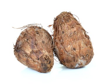 beyaz zemin üzerine Taro