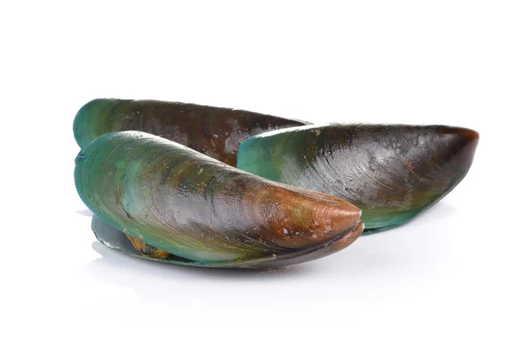 Mussel on white background — Stock Photo, Image