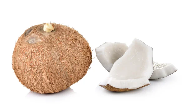 Coconut gros plan sur fond blanc — Photo