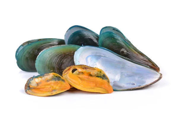 Cozze su sfondo bianco — Foto Stock