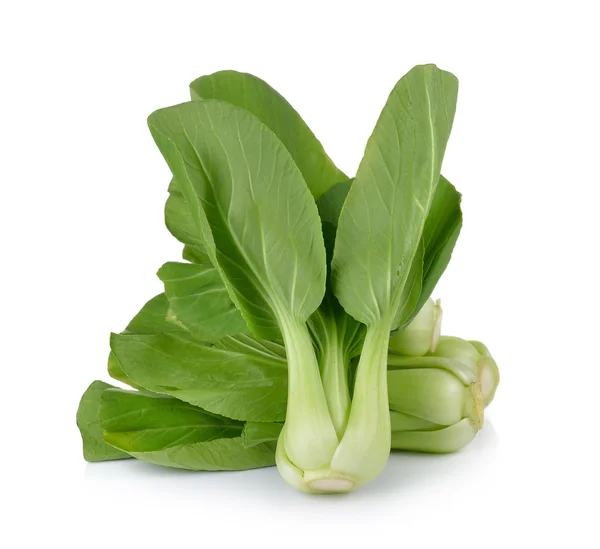 Bok choy zöldség fehér alapon — Stock Fotó