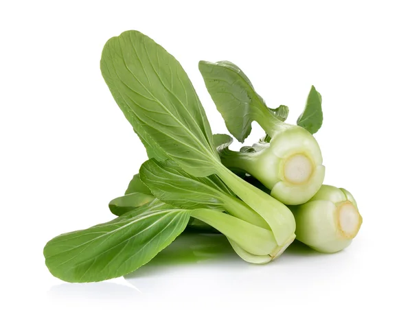 Bok choy vegetale su sfondo bianco — Foto Stock