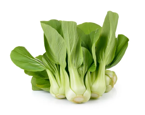 Bok choy vegetale su sfondo bianco — Foto Stock