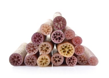 Lotus kökü beyaz arkaplanda